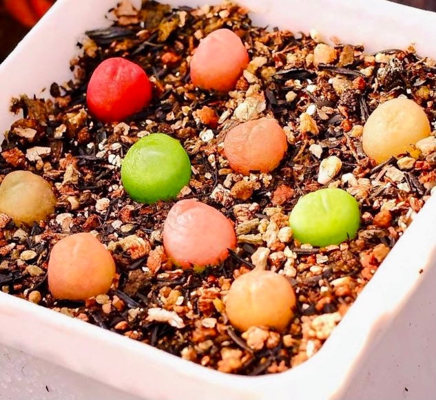 10 Seeds MIX colorful Conophytum maughanii sp Rare Succulent Seed Succulents Meaty Plants