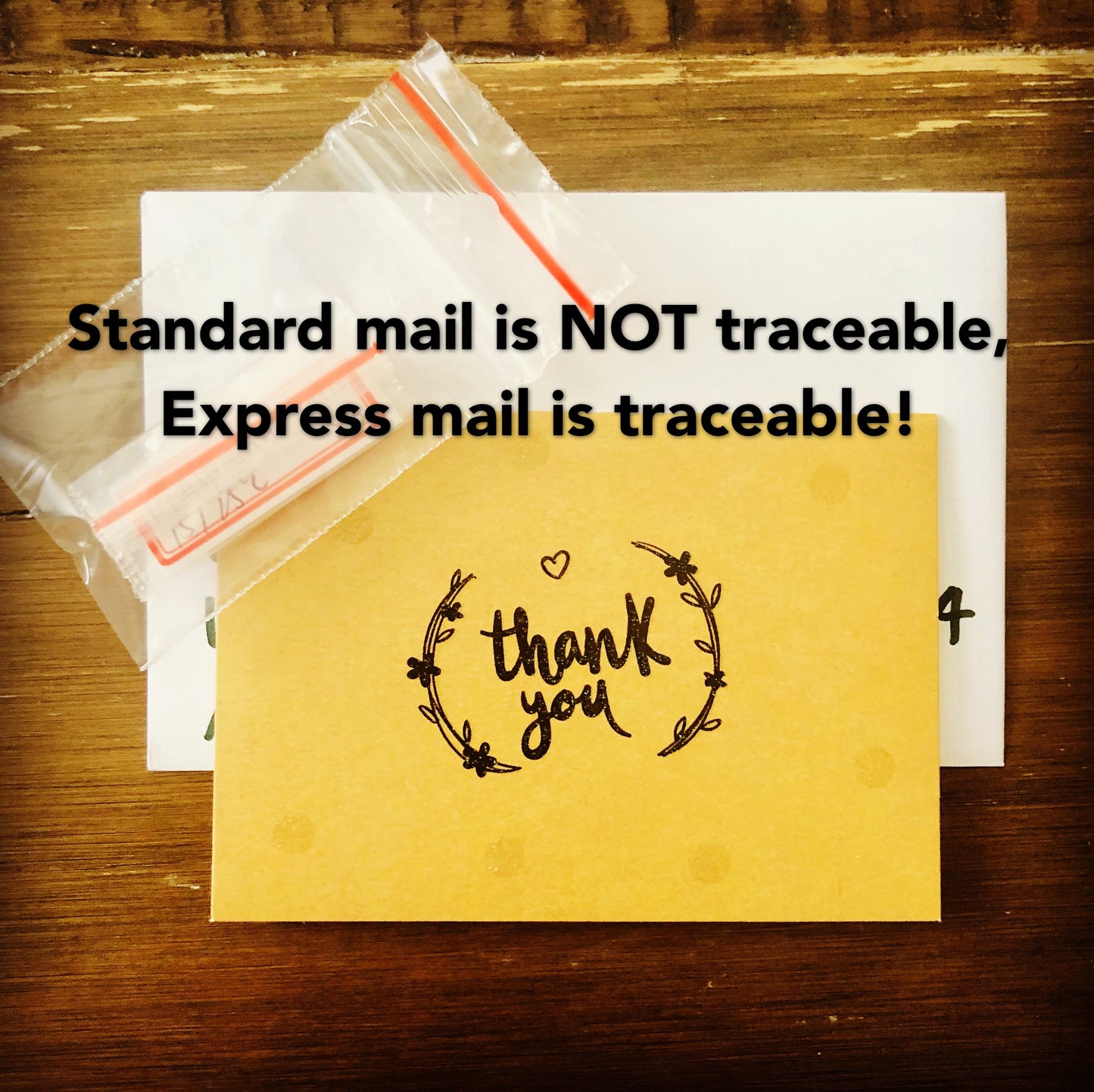 10 Seeds Echeveria ‘Alba’ X Tolimanensis, Elsa, Rare Succulents hybrid Seed